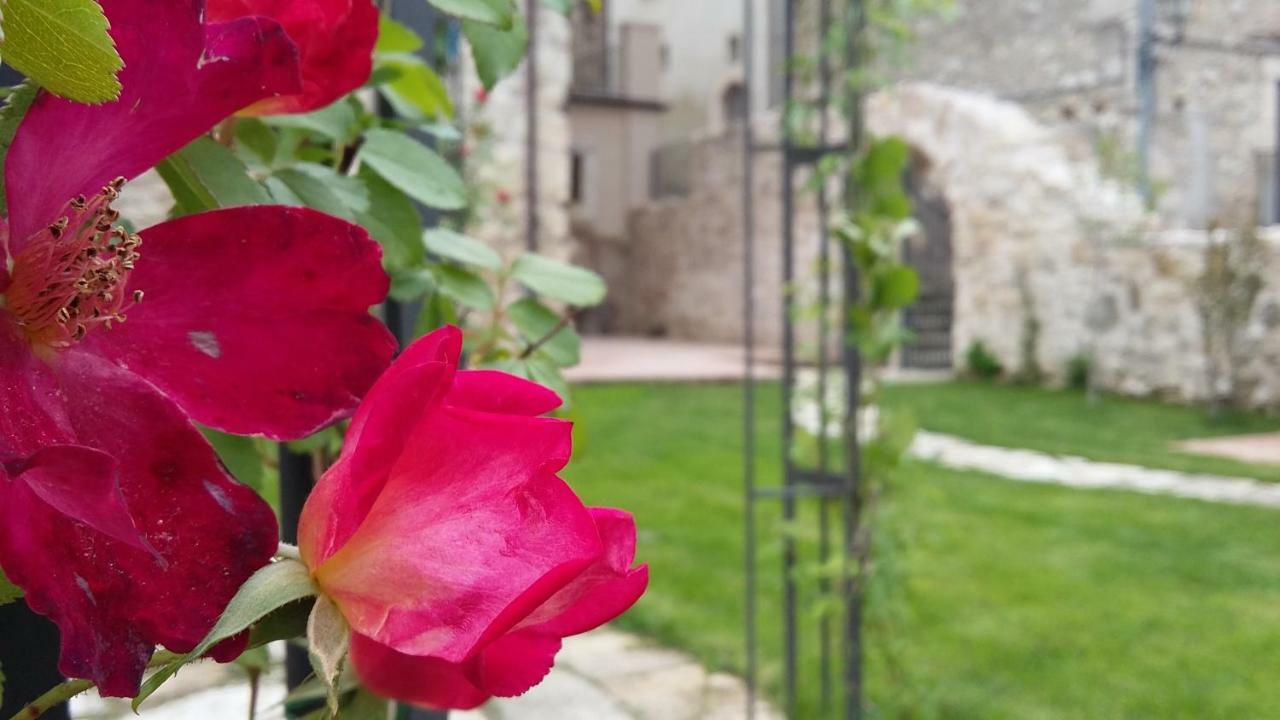 Alloggi Agrituristici Antica Dimora Villa San Demetrio ne' Vestini Eksteriør bilde